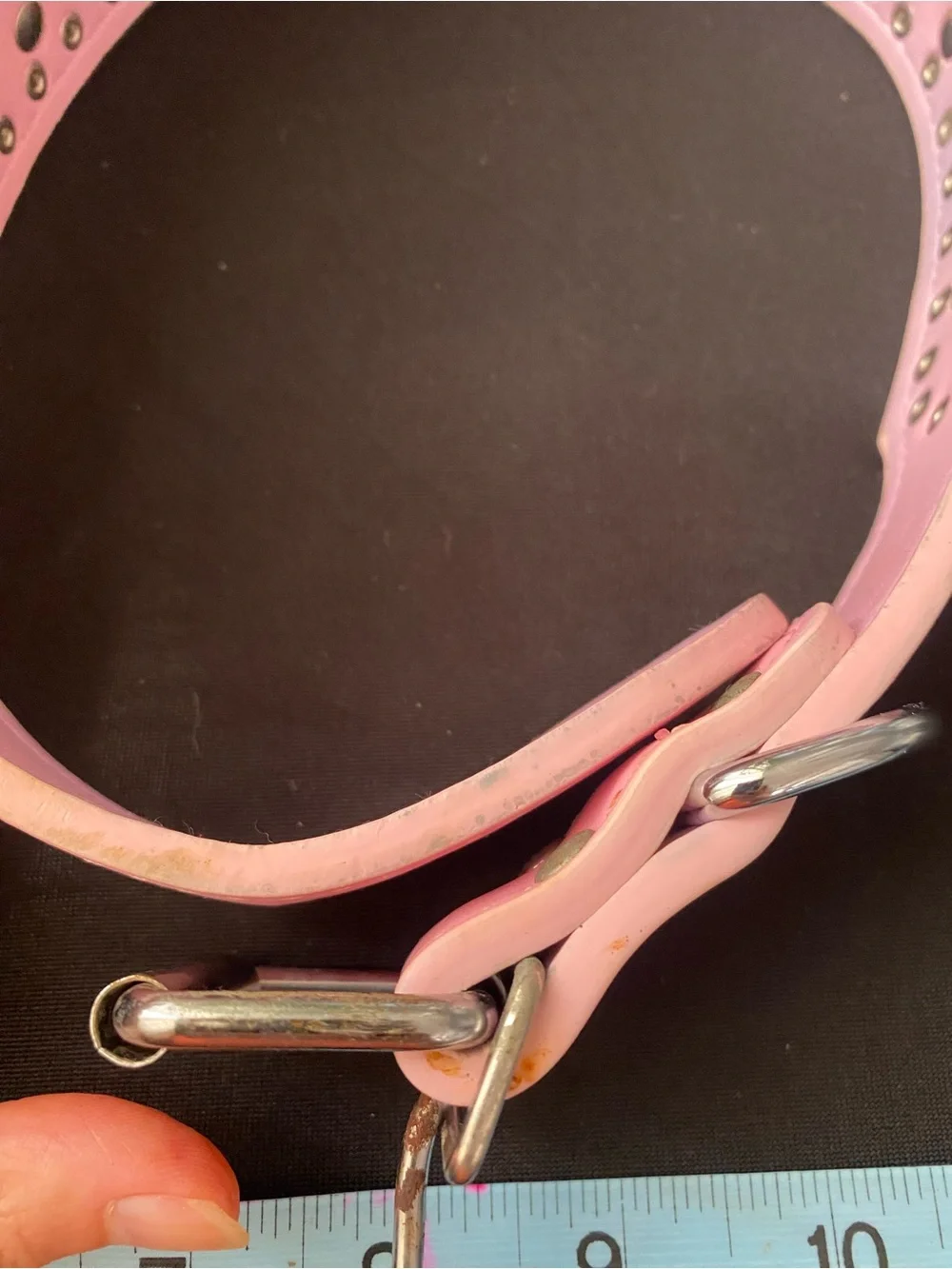 Spiked dog collar